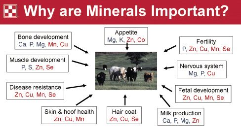 Mineral tags